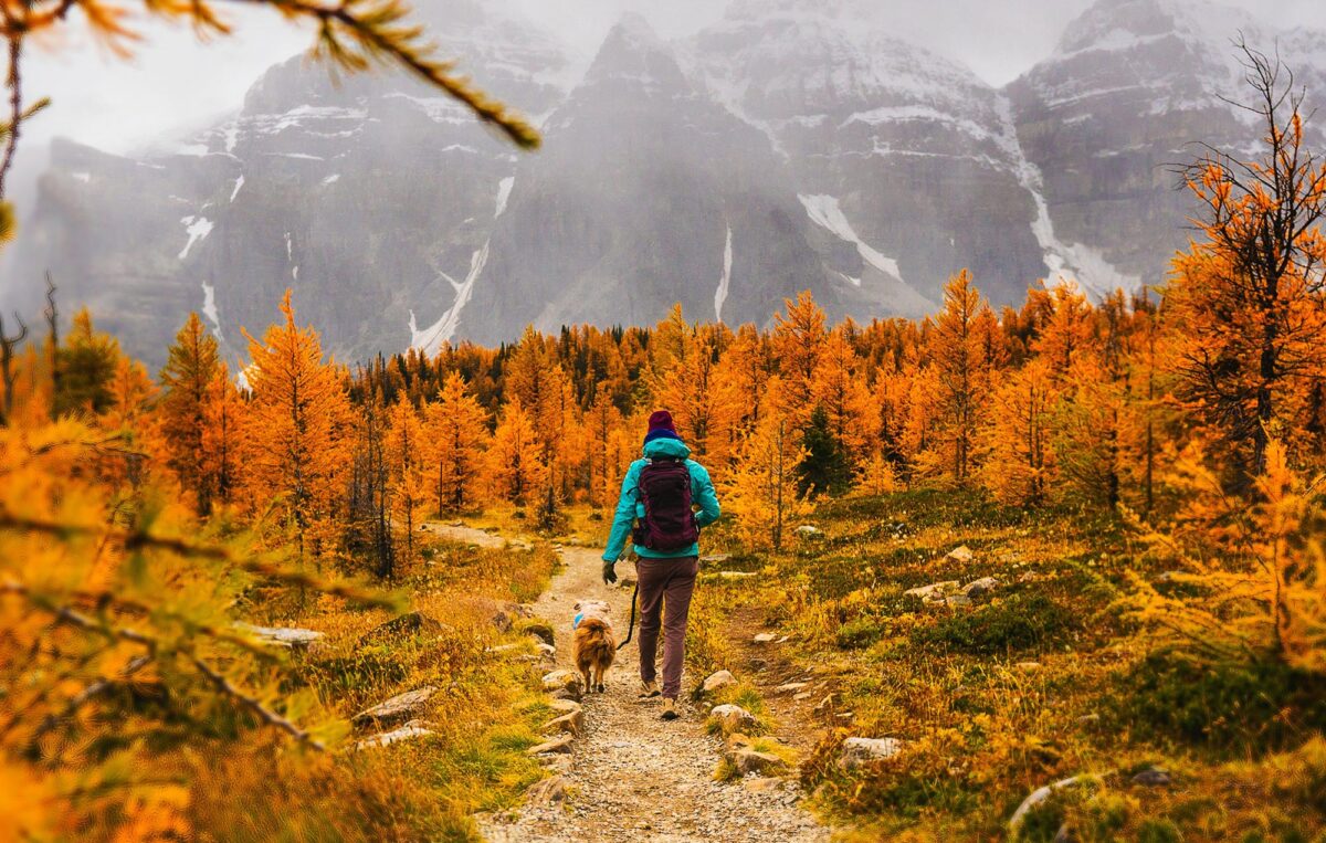 Find the best layers for fall hiking to stay cozy this autumn