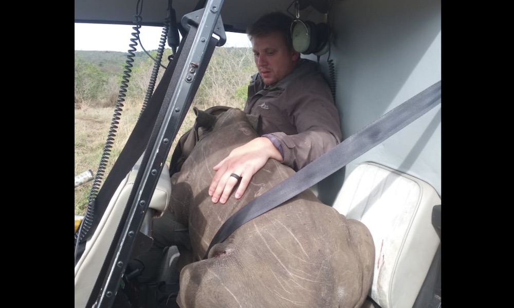 Baby rhino rescued via helicopter after poachers kill its mother