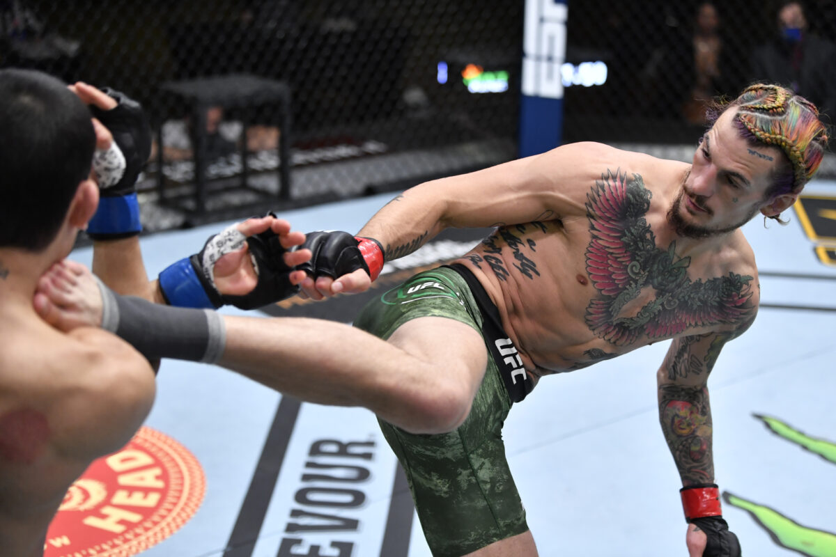 UFC free fight: Sean O’Malley lights up Thomas Almeida, knocks him out in Round 3