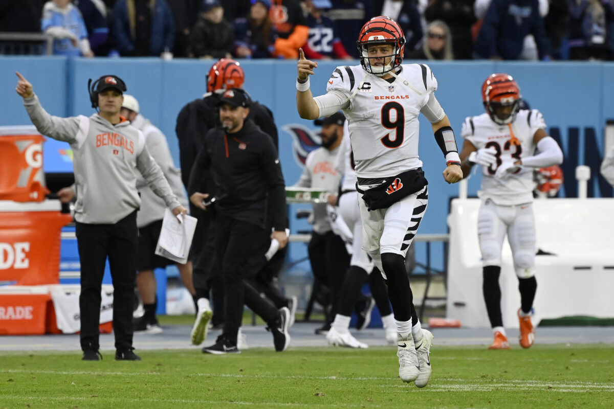 NFL Week 12 betting recap: The Bengals sure look like a better team than the Ravens right now