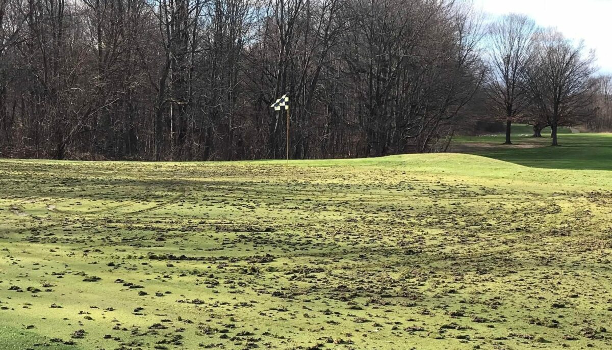 This Michigan golf course may need temporary greens for an entire year after vandals did $100K in damage