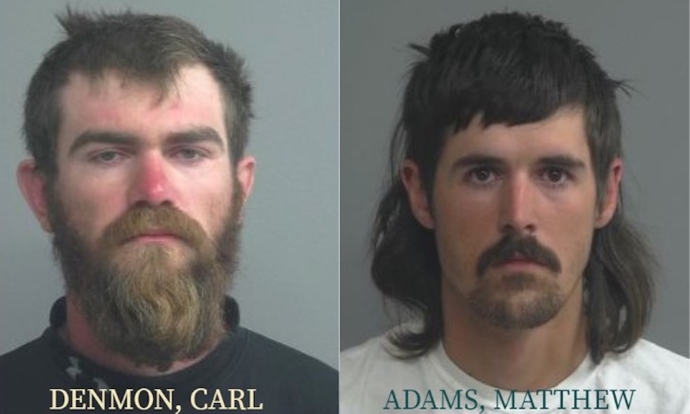 Crash of pickup truck leads to conviction of two poachers