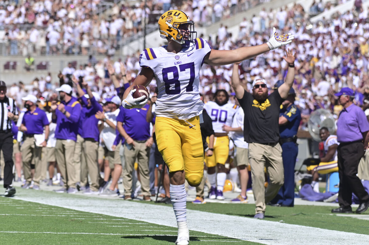 Veteran LSU tight end enters transfer portal