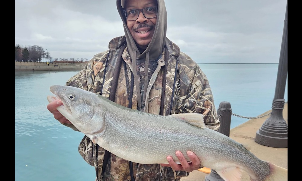 Ladder and luck contribute to Navy Pier lake trout catch