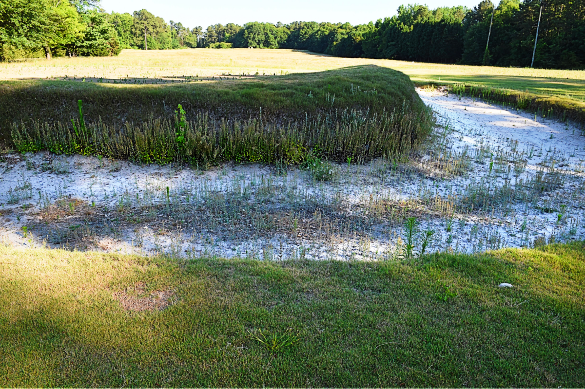 Firm proposes reopening Augusta-area golf course, but there’s a catch