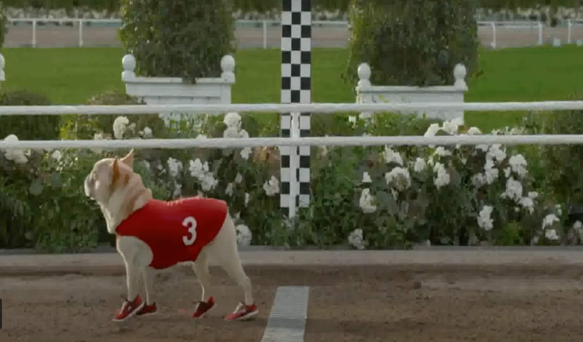 Ad Meter Rewind: The 2012 Super Bowl commercial lineup was the Year of the Dog