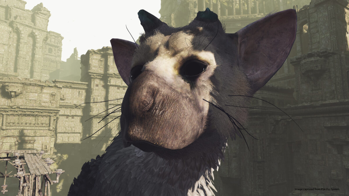The Last Guardian studio teases next game reveal