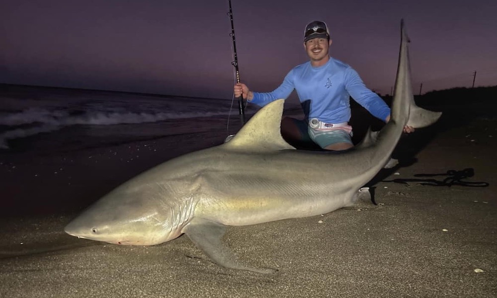Miami Beach angler lands record-size bull shark from shore