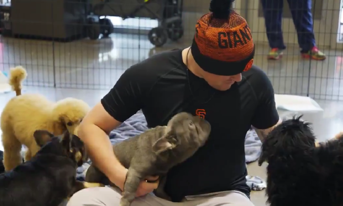Giants players cuddling with puppies was the best break from the grind of spring training