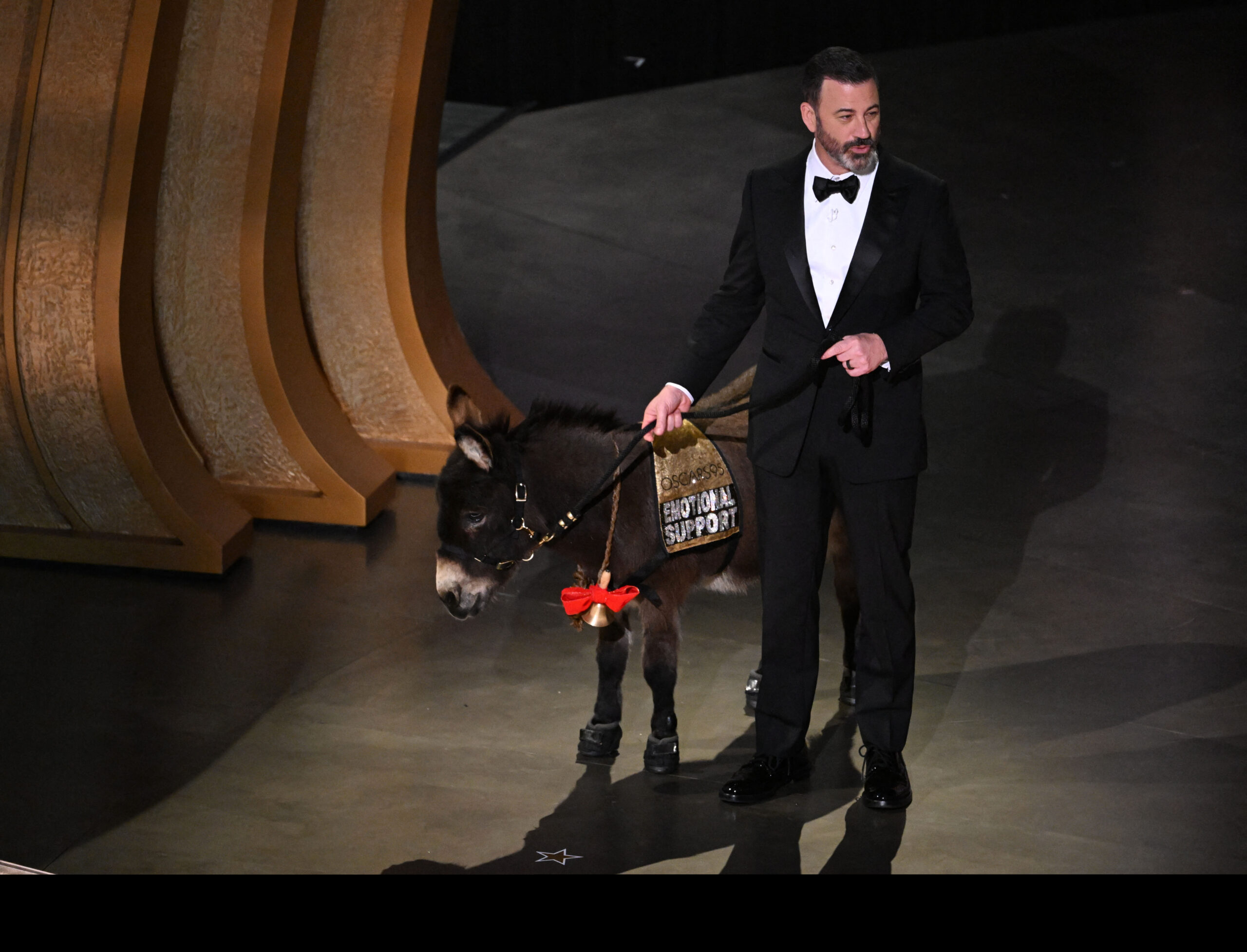 The adorable donkey who showed up during the Oscars, explained