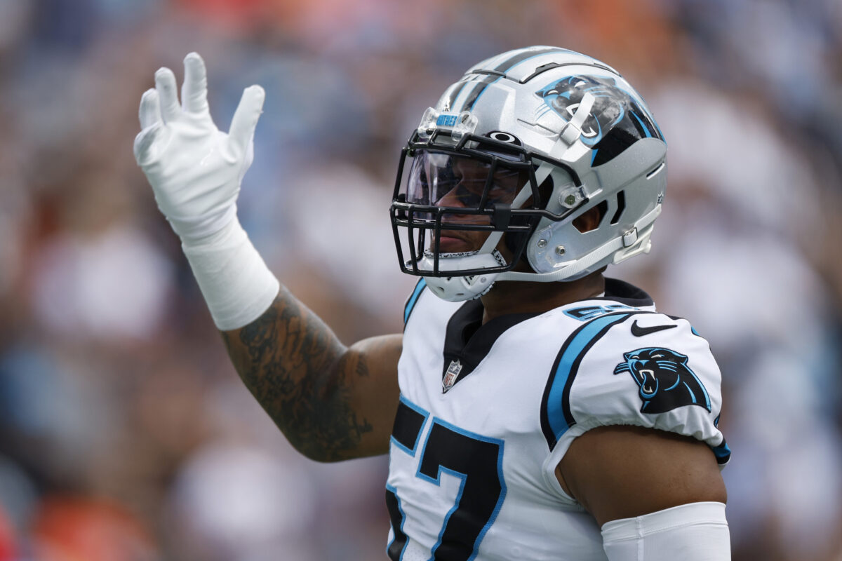 Panthers release LB Damien Wilson