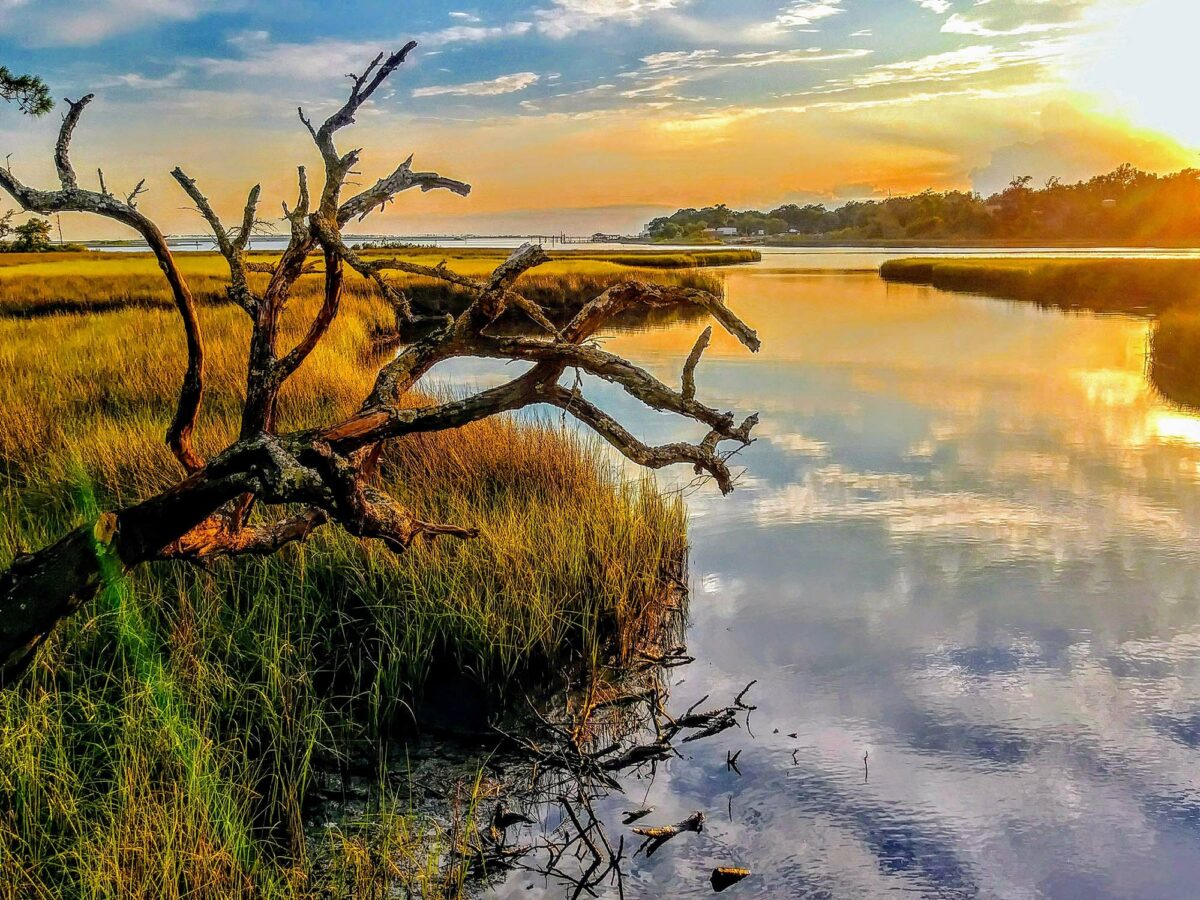 Dazzling photos that show why people love Gulf Islands National Seashore
