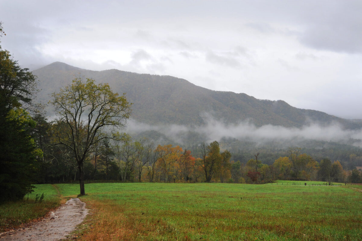 Here’s why you need to visit Cades Cove in the Great Smoky Mountains