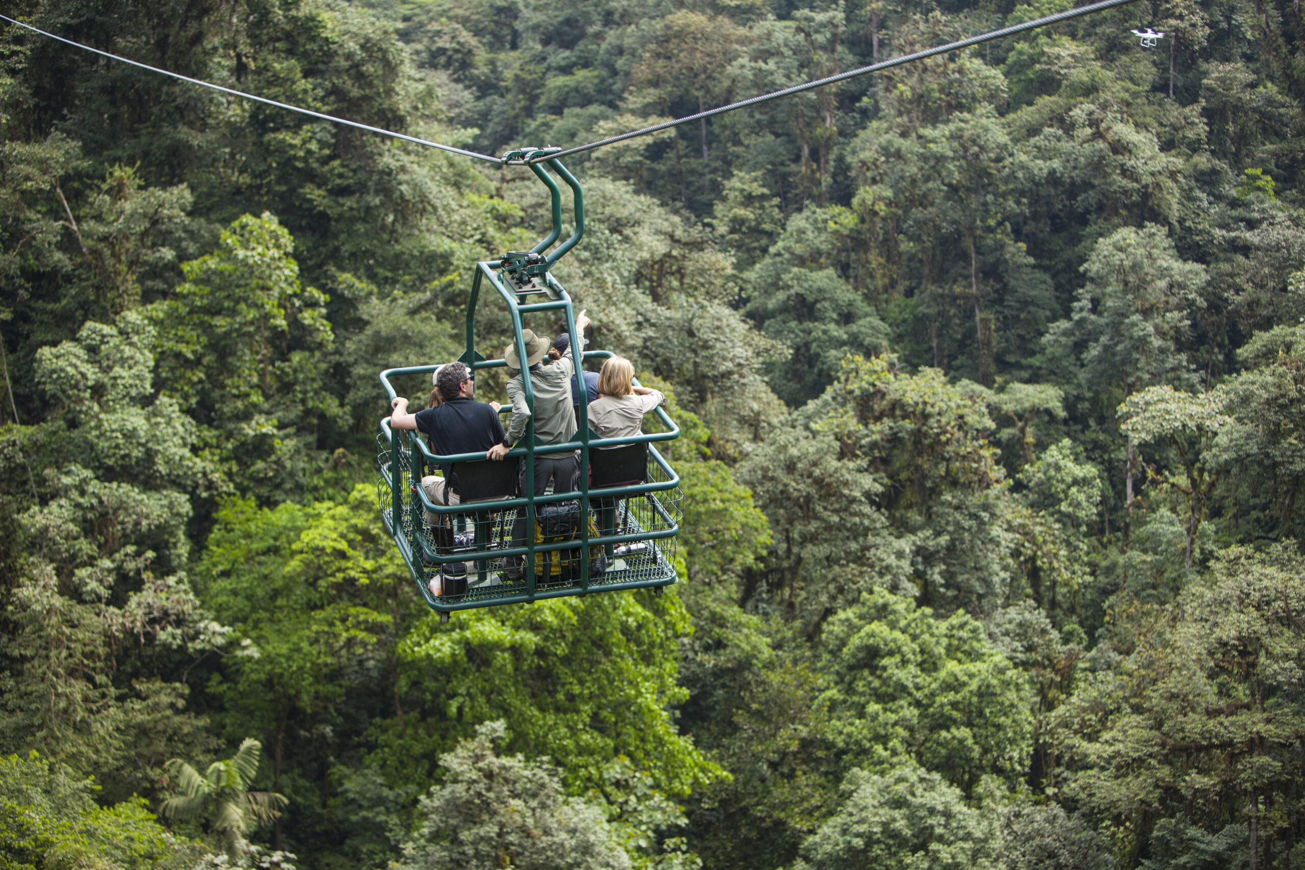 I explored Ecuador’s Cloud Forest. Here are 7 incredible things to do there.