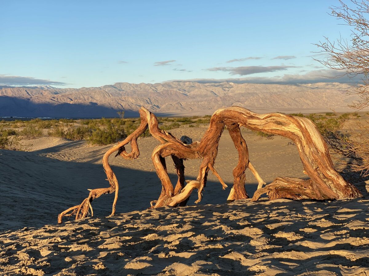 Must-see sights on a road trip through Death Valley
