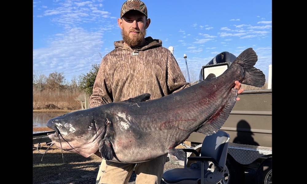 S.C. man lands giant blue catfish, sets bowfishing world record