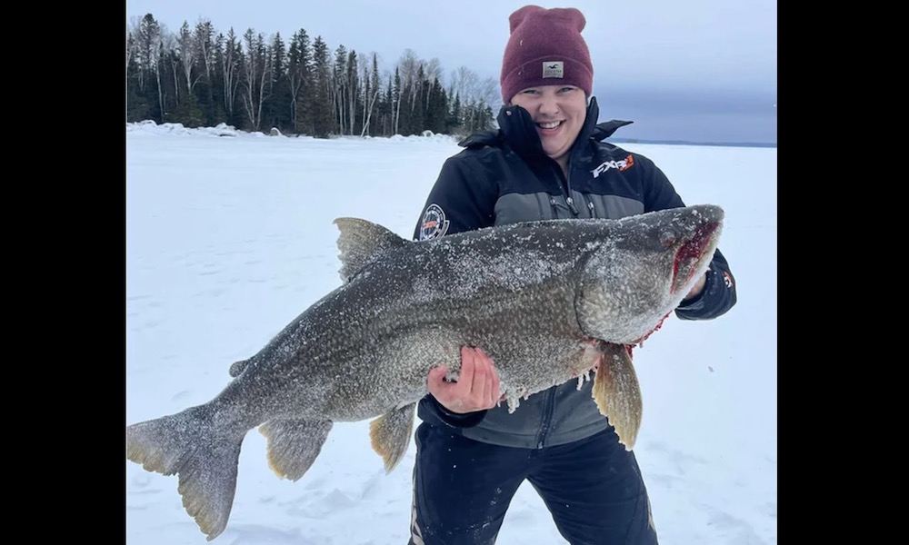 Angler pulls 57-pound lake trout through the ice; ‘I was frozen’