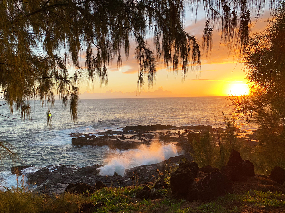 Destination Hawaii: Food Channel On Location