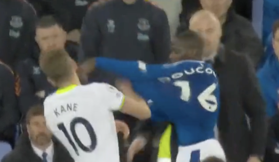 Everton manager Sean Dyche savagely roasted Harry Kane’s toughness after a controversial red card