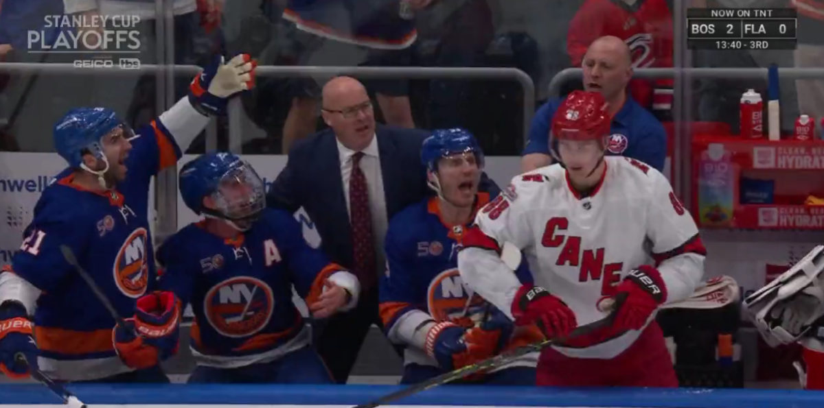 Canes center Martin Nečas punched a random Islanders player after being pushed into the New York bench