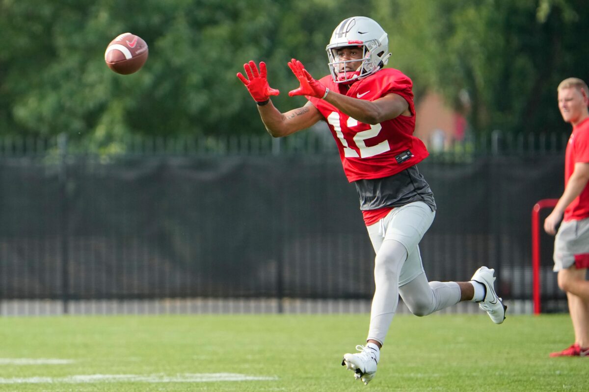 Ohio State sees a wide receiver enter the transfer portal