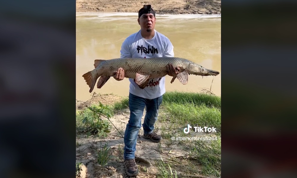 Angler catches a ‘river monster’ from the River of Death