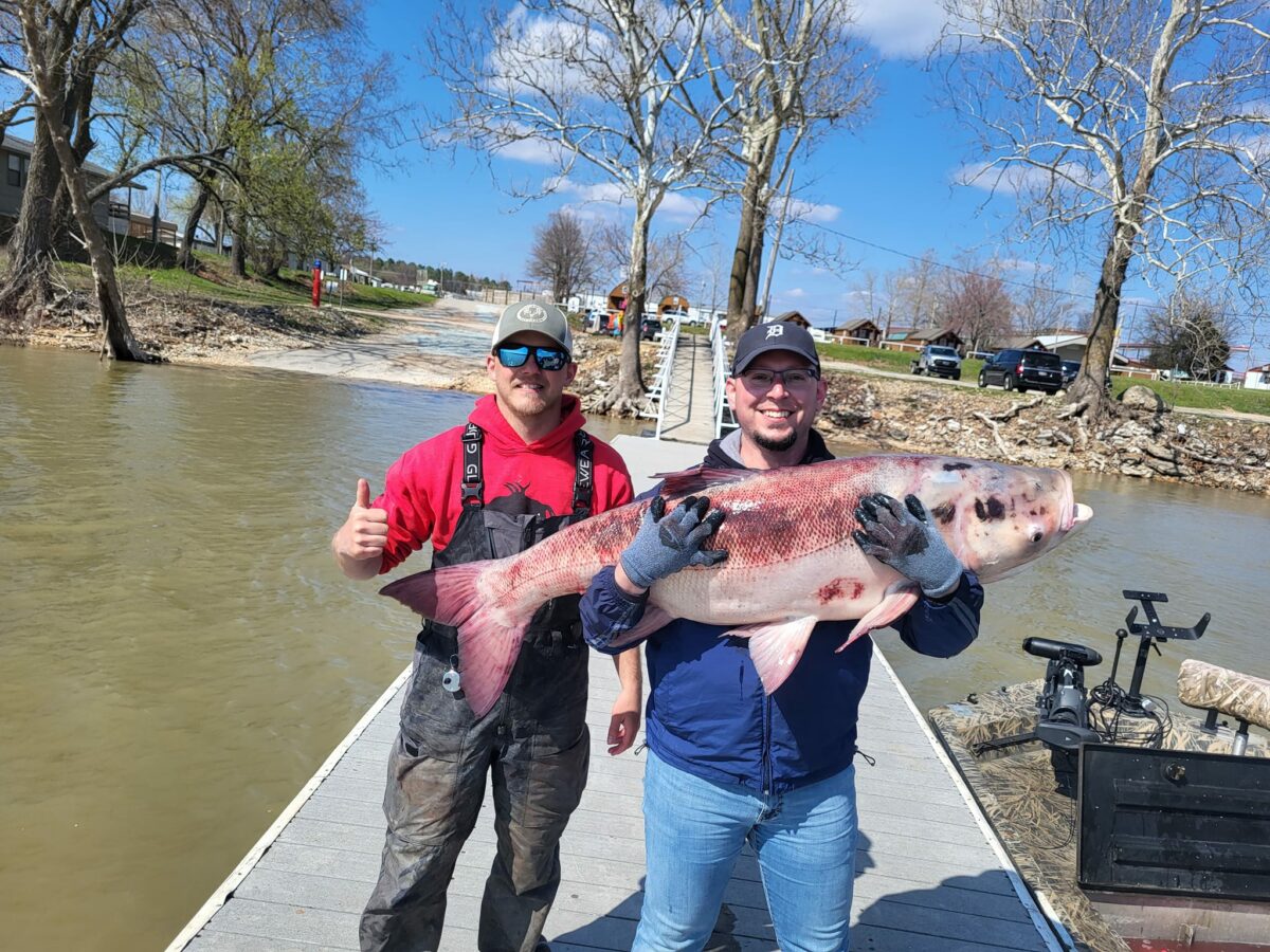 Anglers praised for removing massive carp from Oklahoma lake