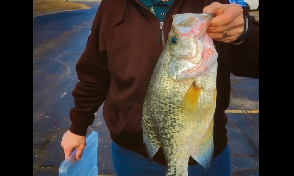Giant crappie catch in Kansas breaks 59-year-old record