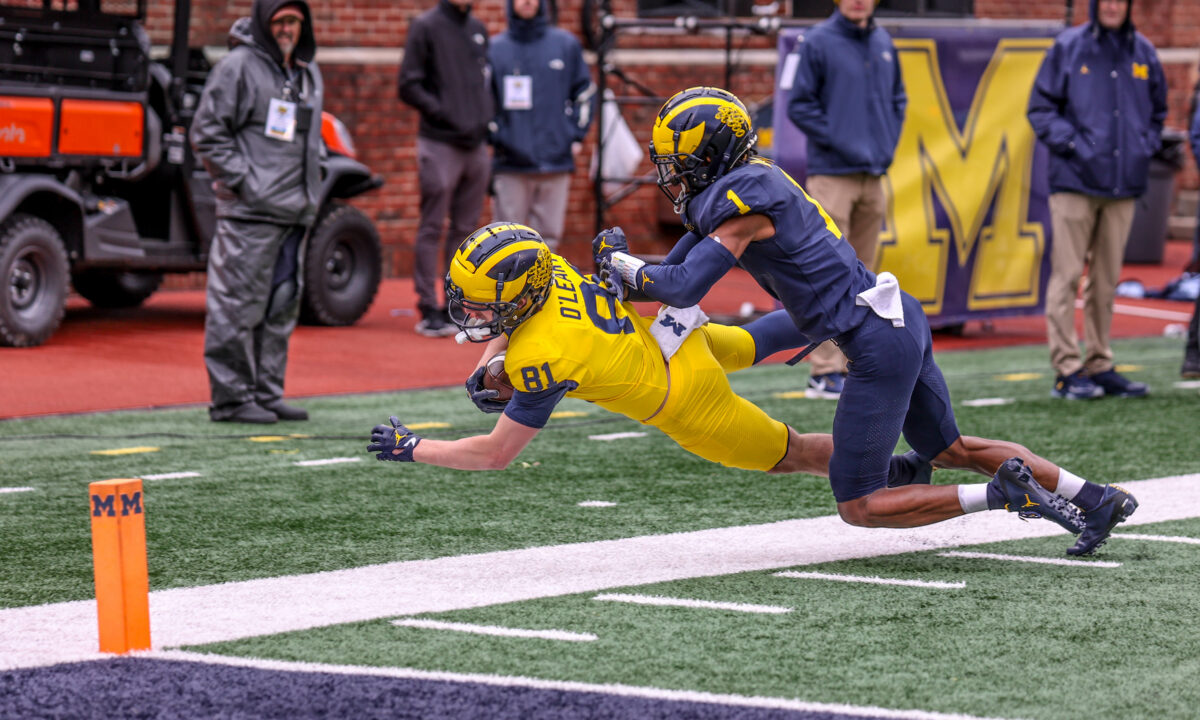 10 Michigan football players who impressed at the spring game