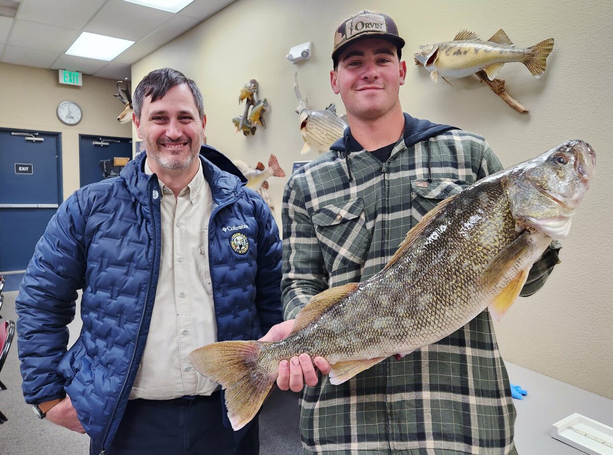 ‘Monster’ walleye catch in Colorado could have set a record