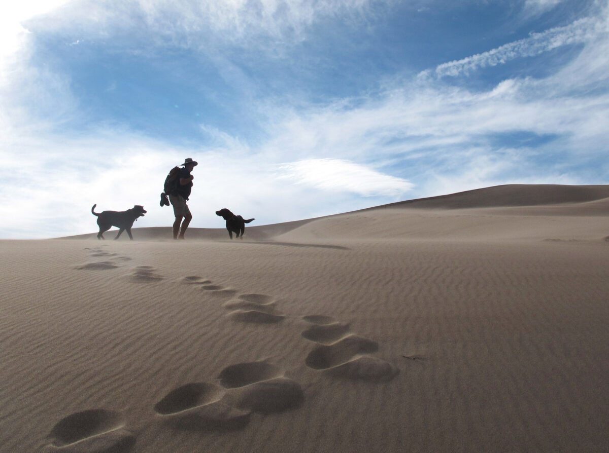 The 10 most dog-friendly national parks