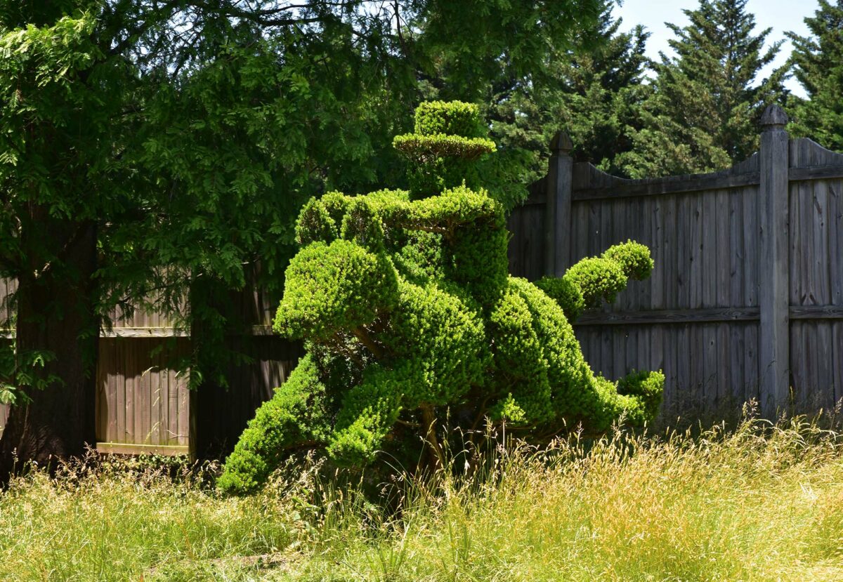 Enter a whimsical world of plants at the Ladew Topiary Gardens