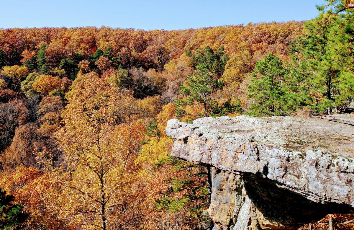 Venture into the mysterious depths of Ozark National Forest