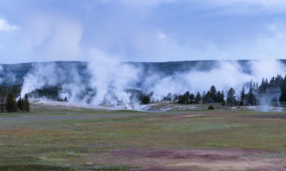 Man arrested in Yellowstone National Park, body found in car