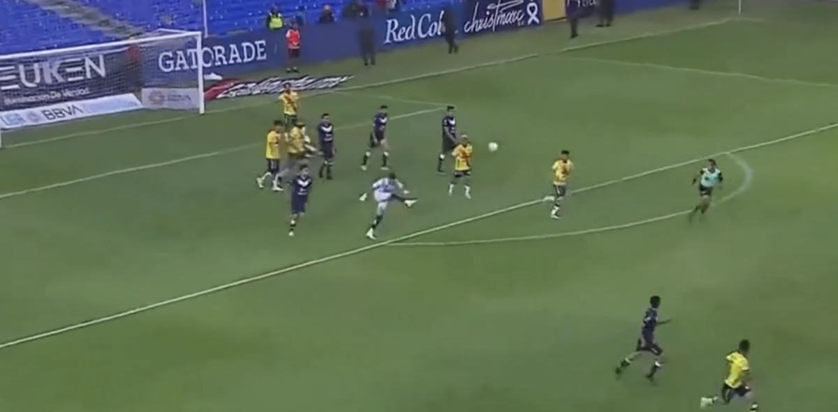 Watch this goalkeeper score by punting the ball across the entire dang field