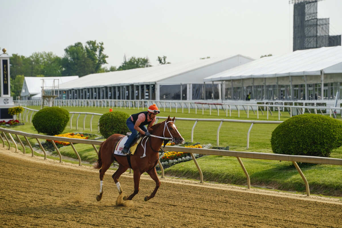 2023 Preakness Stakes odds, picks and predictions