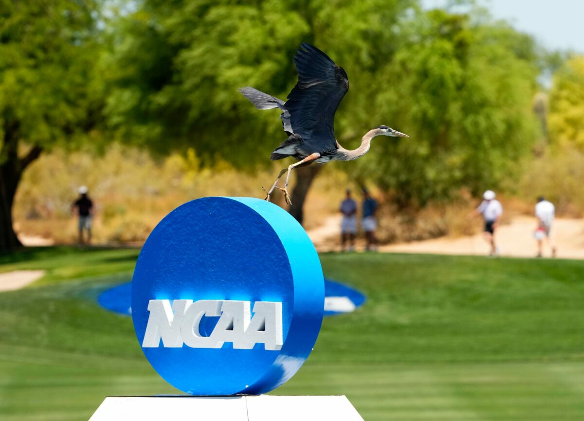 Golf Hogs off to hot start in the desert at NCAA Championship