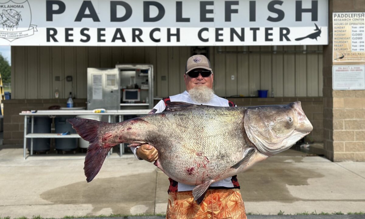 Oklahoma angler lands enormous carp for state’s first record