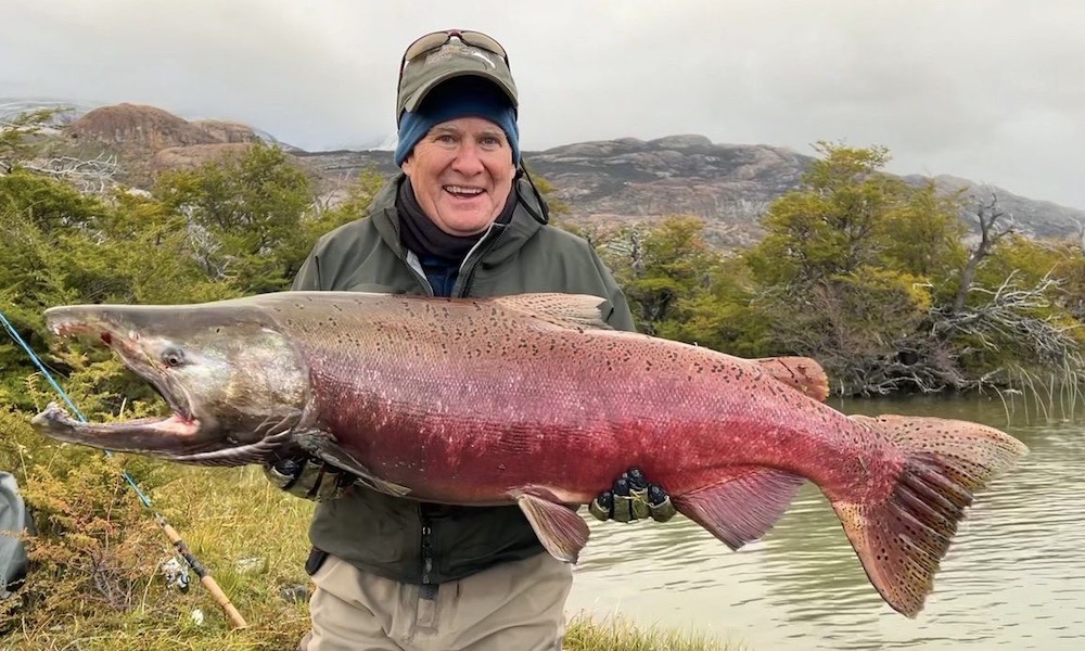 Giant chinook salmon caught in Argentina a pending world record