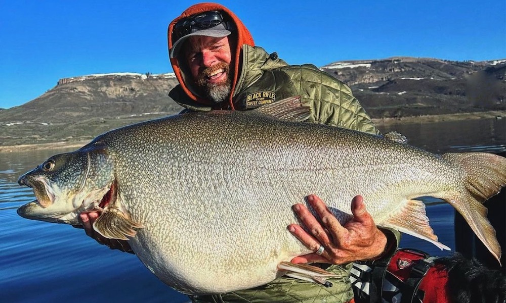 Fisherman catches big-bellied, world-record-size lake trout