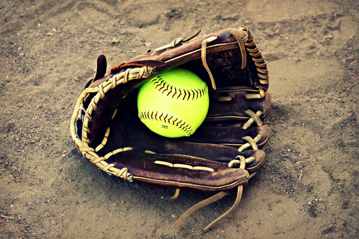 Best fan-submitted photos of 2023 high school softball playoffs