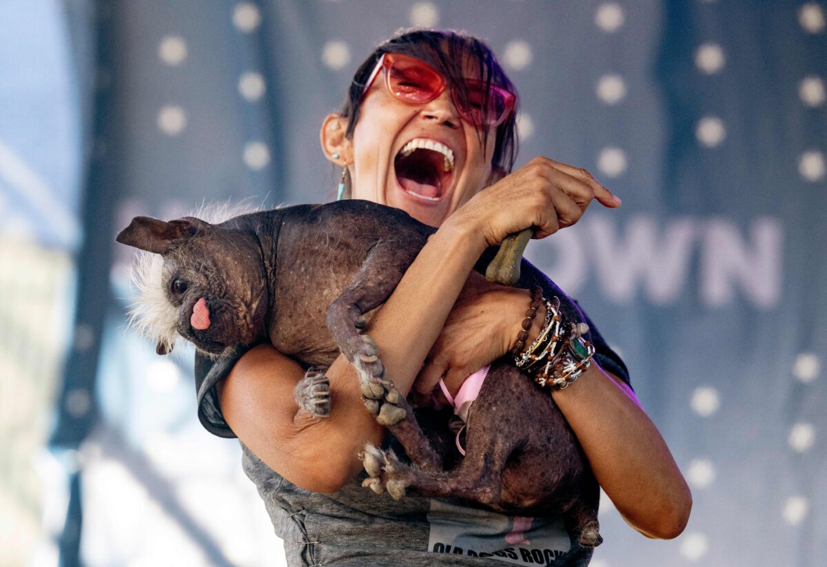 World’s Ugliest Dog Competition 2023