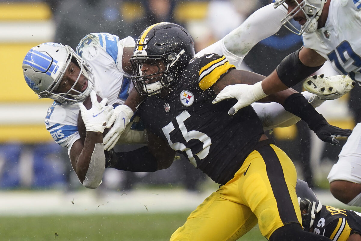 Former Steeler Vince Williams attributes Devin Bush’s struggles to injury, youth