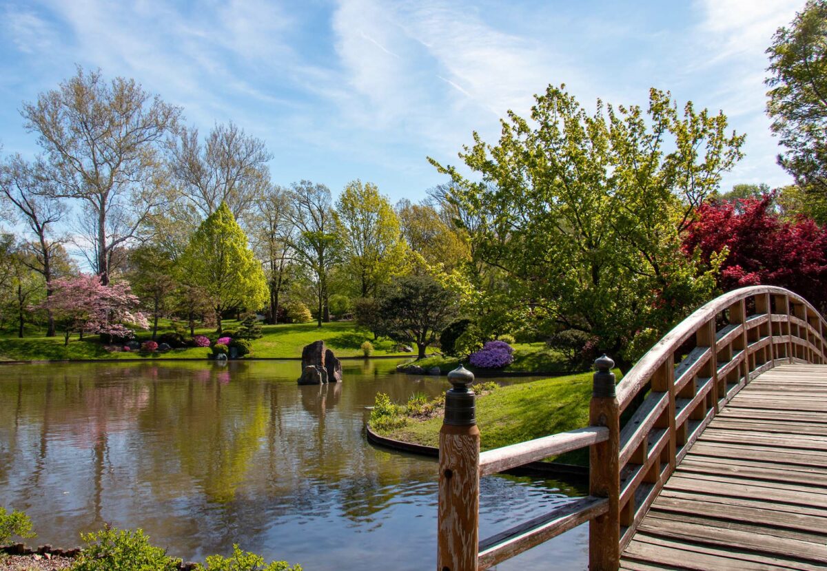 Make your way to St. Louis for one of the country’s best botanical gardens