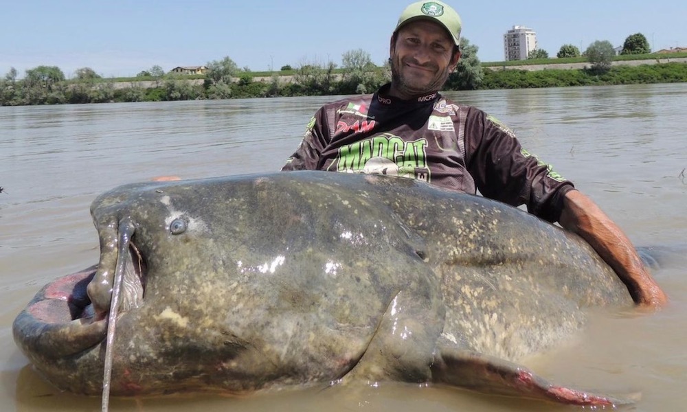 Fisherman lands world-record-size catfish that stretches over 9 feet