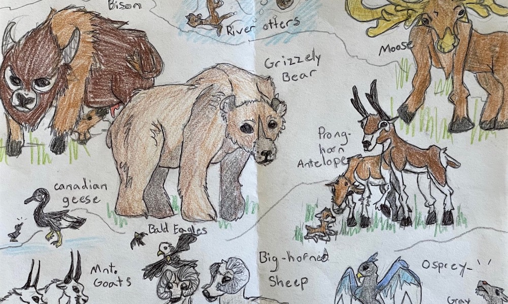 Yellowstone visitor, 12, brings critters to life with ‘amazing’ art