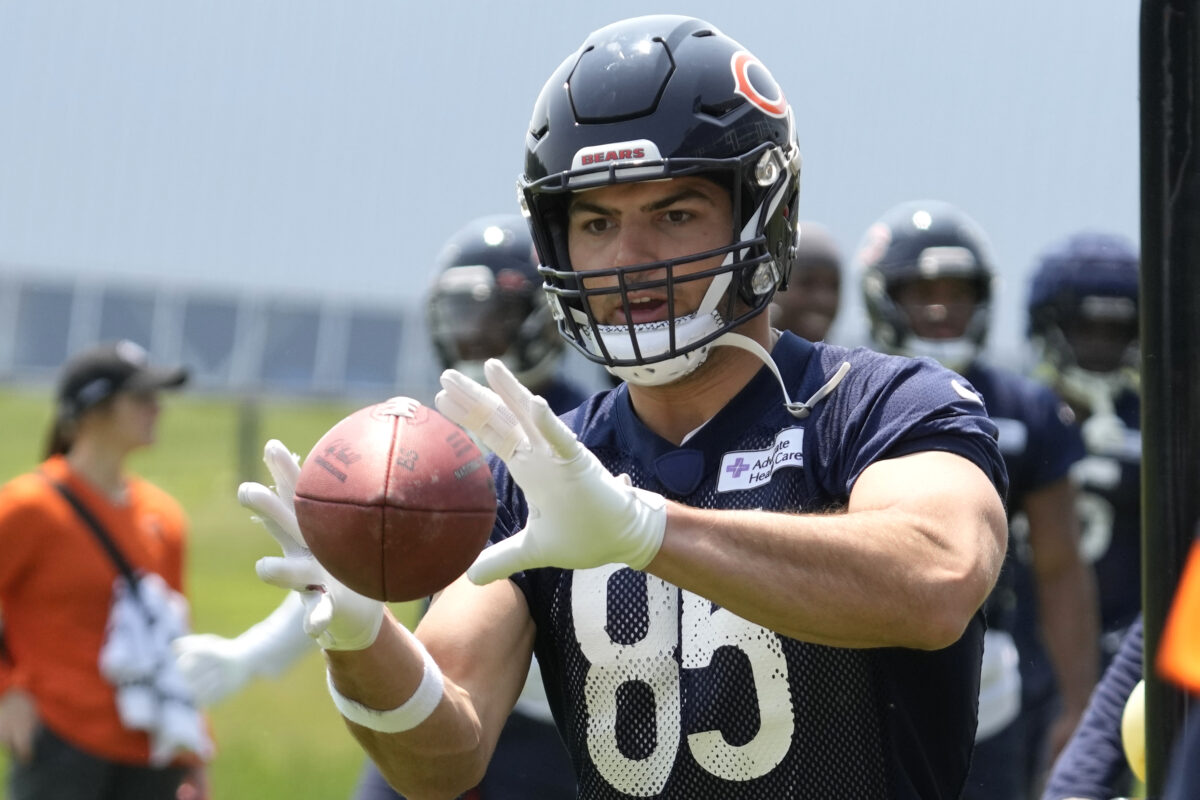 Bears 2023 training camp preview: Tight ends