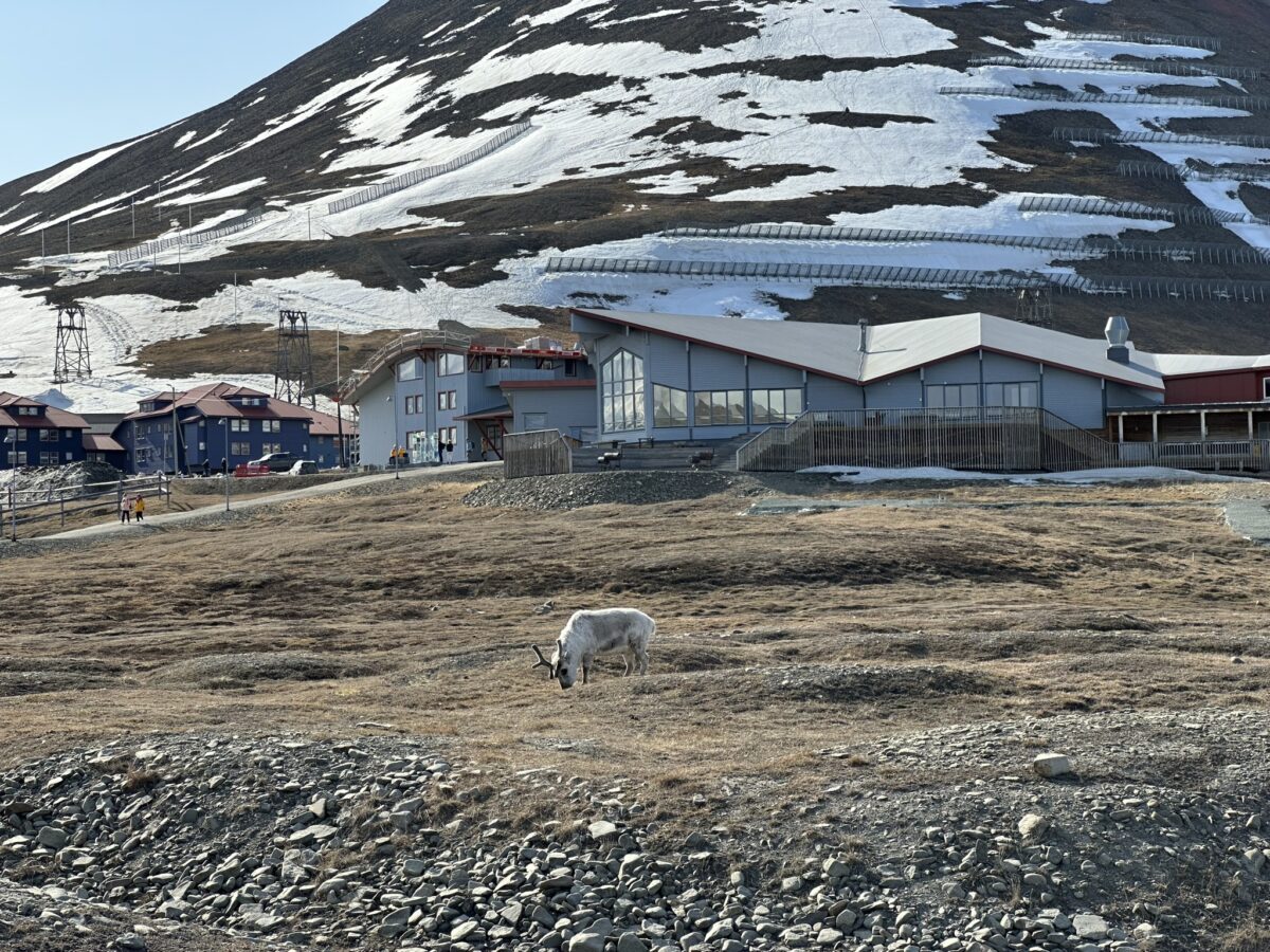 Could you live in Longyearbyen, the world’s northernmost city?