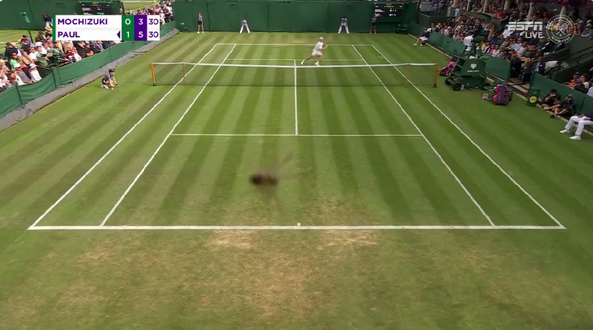 A spider jump scared Wimbledon viewers by crawling onto one of ESPN’s cameras during a match