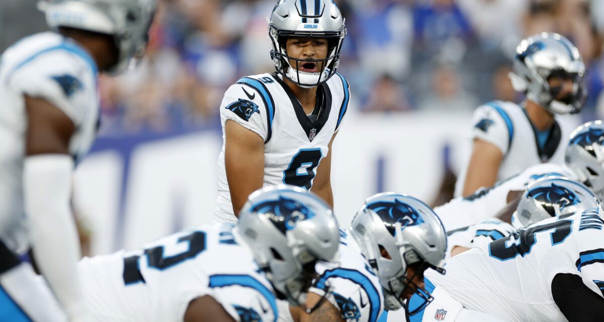Top takeaways from Panthers’ snap counts in preseason loss to Giants